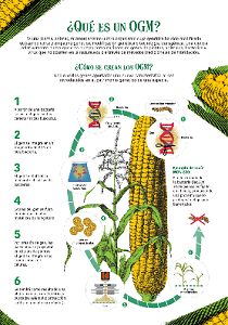 ¿Qué es un OGM?